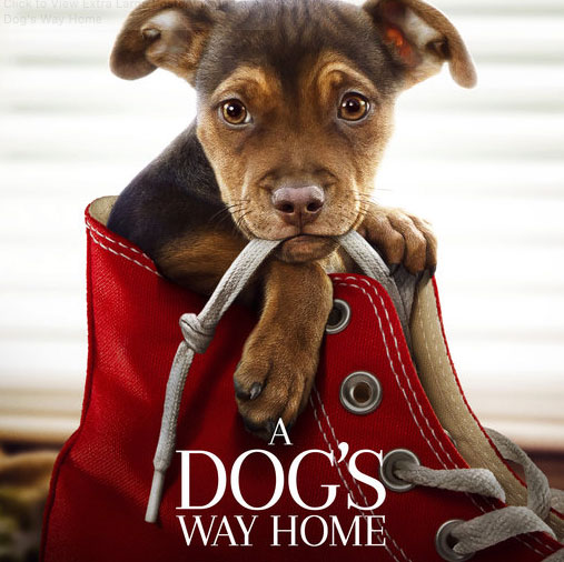 A Dog’s Way Home – International Trailer